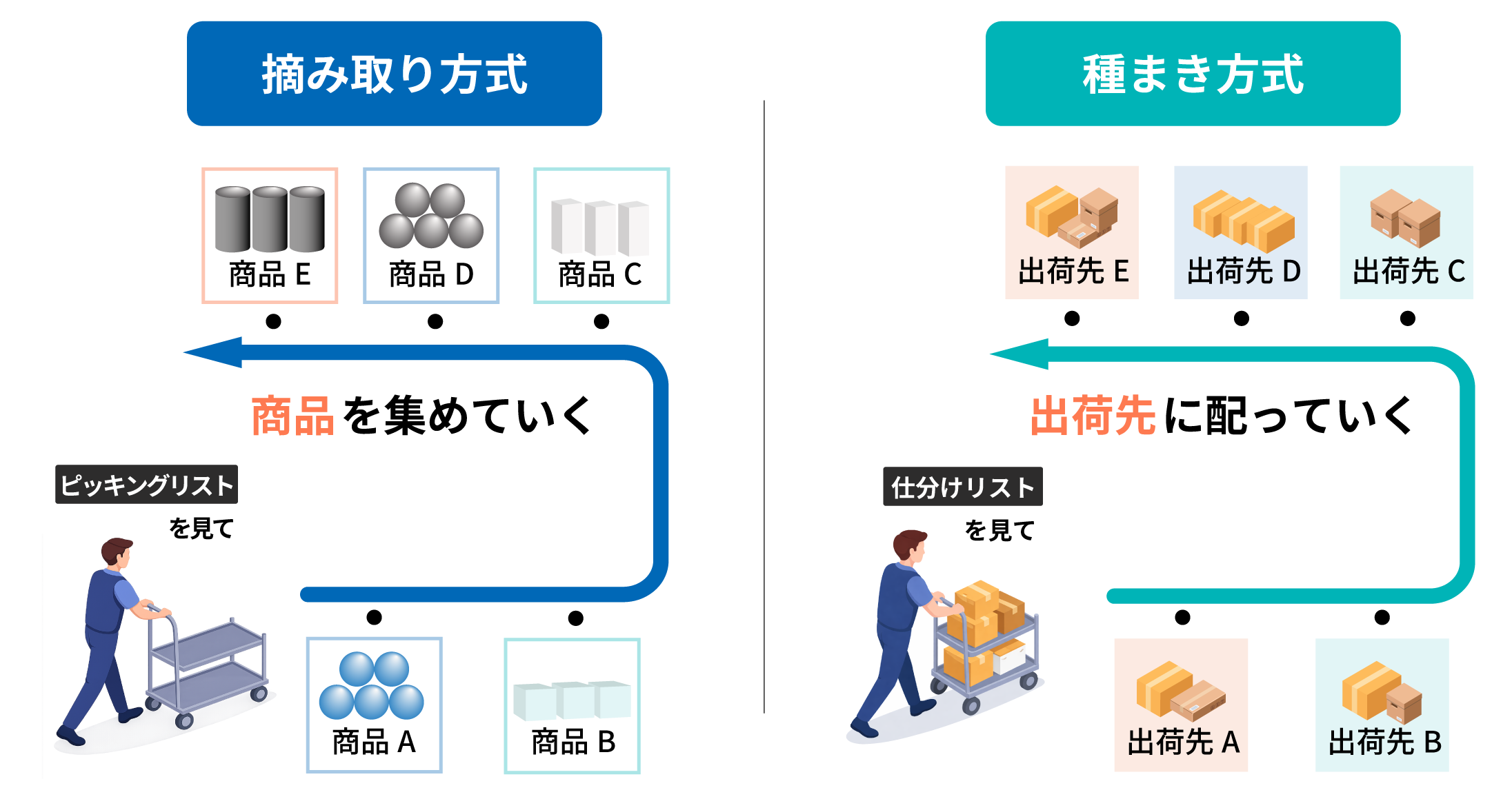 摘み取り方式と種まき方式